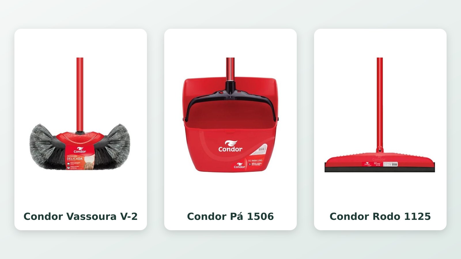 Vassoura e rodo para casa de idoso: 3 itens Condor